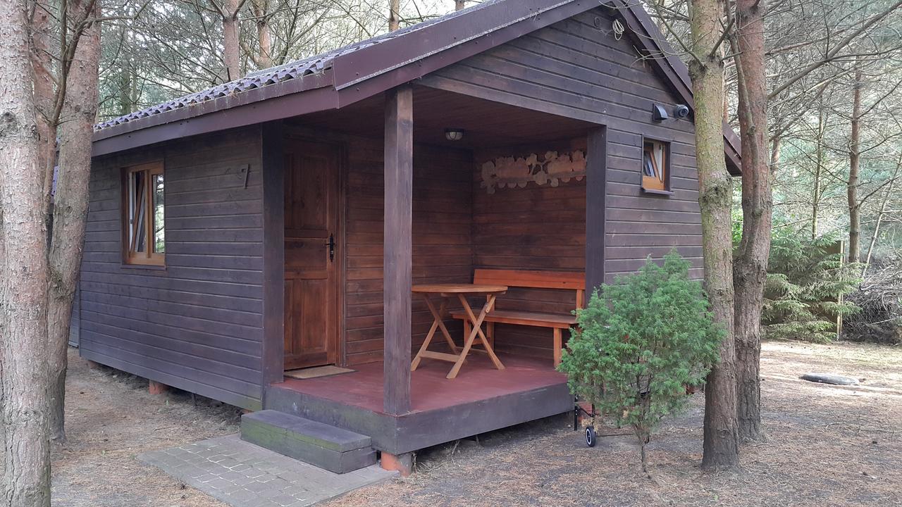 Osada Pod Czerwonym Debem - Czarny Mlyn Villa Jastrzebia Gora Bagian luar foto