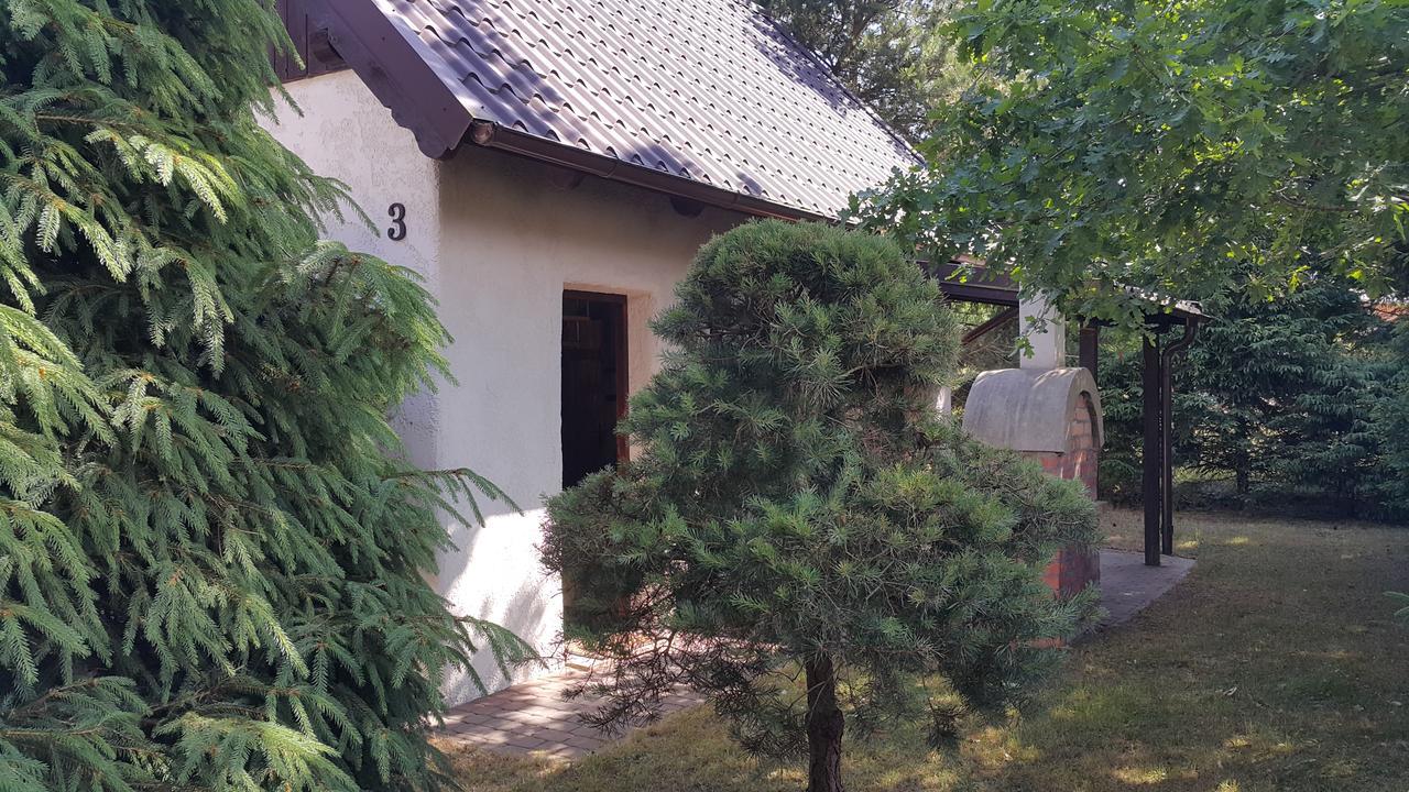 Osada Pod Czerwonym Debem - Czarny Mlyn Villa Jastrzebia Gora Bagian luar foto